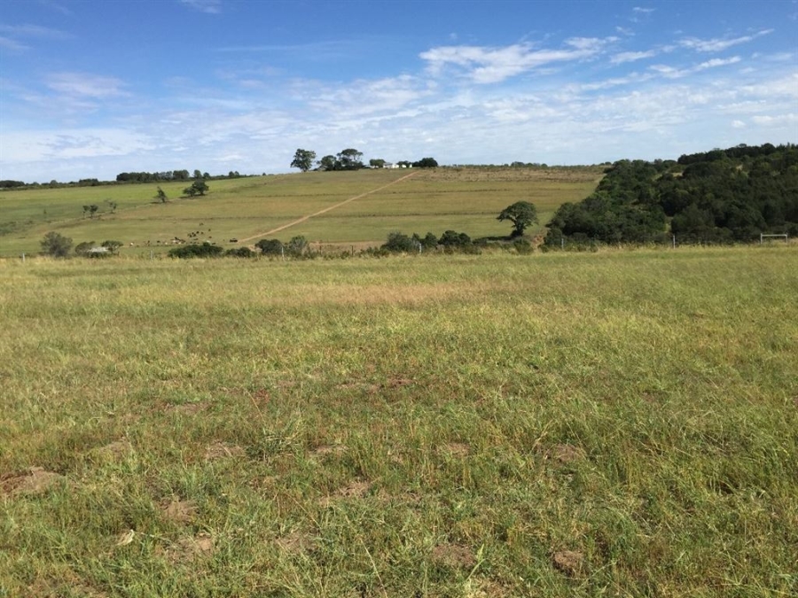 Commercial Property for Sale in Bathurst Eastern Cape
